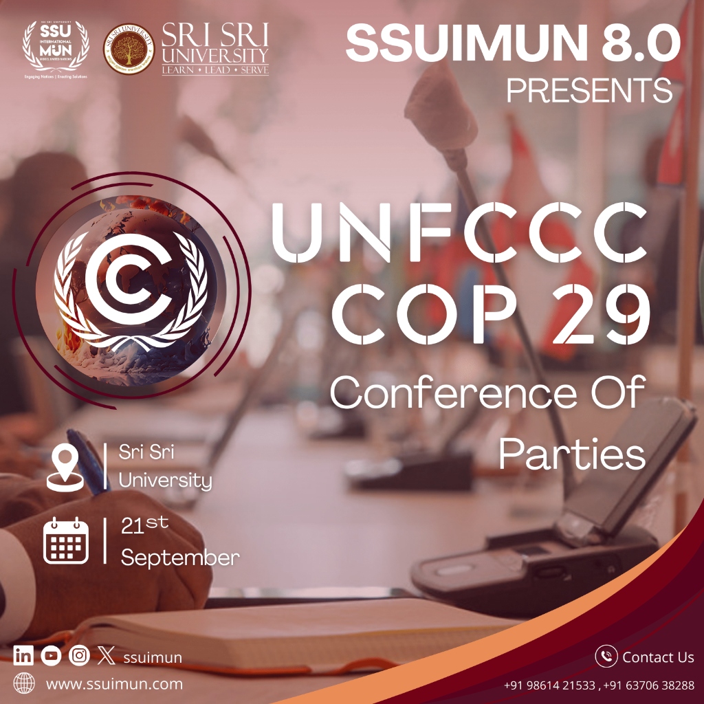 UNFCCC COP 29